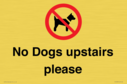 no-dogs-upstairs-please-~